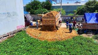 Impressive Project Nice Action , Bulldozer Komat'su D20P Push Soil Stone and Truck Spreading Stone