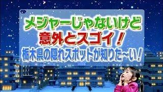 栃木県×テレビ朝日「お願い！ランキング」栃木県のプロモーション映像　スポット編