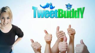 Tweet Buddy Small Business Marketing On Twitter Made Easy