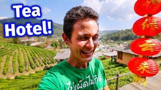 $140 Tea Resort VILLA TOUR! Chinese Village in Thailand - Ban Rak Thai!