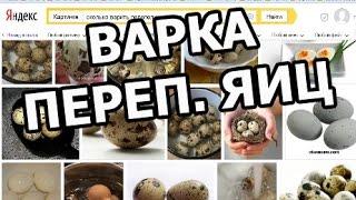 Сколько минут варить перепелиные яйца. Варятся очень просто!