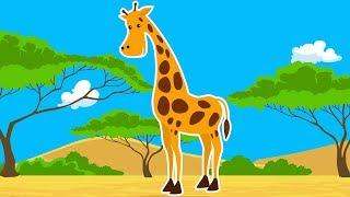 Дикие Животные Африки. Про Жирафа Мультик для Детей.Развивающий Мультфильм. Дикие Животные для Детей