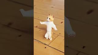 #funnymeow #funnyvideo #funnyshorts #catlover #catdance #shorts #shortvideo #youtubeshort #youtube