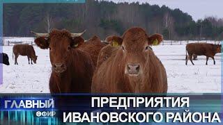 Ивановщина — аграрный край и лидер Брестской области по производству молока. Место для жизни