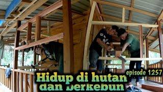 bentuk kamar semakin terlihat cantik dan minimalis warta petani muda hidup di hutan