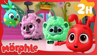 Counting Rainbow Sheep  | Cartoons for Kids | Mila and Morphle