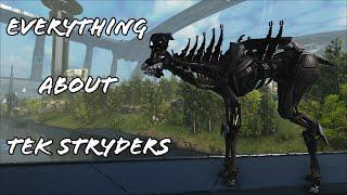 All abilities and everything you need to know about Tek Stryders in 2 and a half minutes!!