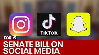 Senate pushes social media safety for children | FOX 5 News