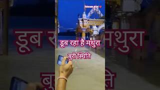 Mathura Vrindavan Flood ||  Yamuna River  vishraam Ghat #shorts #viral #flood #mathura #vrindavan