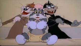 Tom and Jerry Baby Puss episode 12 part 3