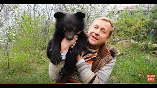 ВПЕРВЫЕ в Тайгане  и Сказке родился гималайский медвежонок УМКА !!!