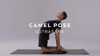 How to do Camel Pose | Ustrasana Tutorial with Dylan Werner