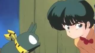 Ranma speaks the language of P-Chan