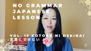 NO GRAMMAR JAPANESE LESSON VOL. 15 KOTOBA NI DEKINAI 言葉にできない