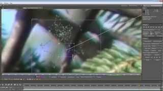 Adobe After Effects CS5/CS6 - Stabilize Video [Tutorial]