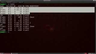 Linux Terminal: Formating a USB drive & 'burning' an iso image