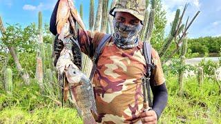 24 hours FISHING for fresh water Fish Catch clean and cook