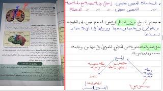 مظهر الرسالة العصبية و طرق انتقالها رابعة متوسط  (رحلة الإشارة العصبية: من الخلية إلى الدماغ)!!