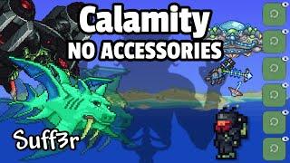 Trust in Summoner. Calamity No Accessories (3)