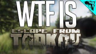 WTF is Escape from Tarkov! (Beginners Guide)