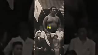 Joe Rogan Reacts To Real Giant Footage