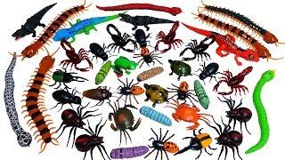 RC Bug Spider, Snake, Scorpion, Crab, Turtle, CocKroach, Frog RC Animals RC Insects Toys