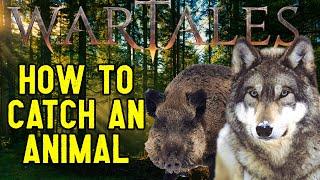 WarTales - How to Capture Animals? (Animal Companion Guide)