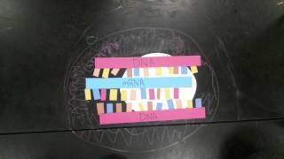 How Ribosome Make Proteins