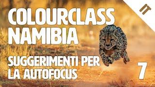 Colourclass Namibia: Settima puntata - Autofocus: suggerimenti per la fotografia in movimento