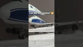 SAS Definitely Does NOT Like The Snow!  #aviation #funny #meme #cute #shorts