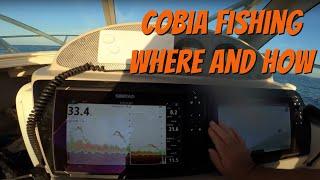 Tips on COBIA fishing / BLACK KINGFISH