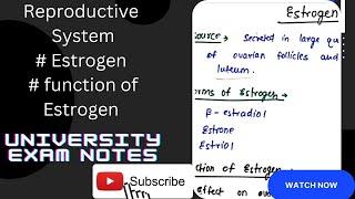 Estrogen Hormone / Estrogen hormone physiology/ Estrogen functions