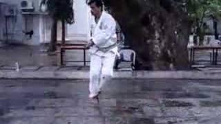 Shihan hussaini 8th Dan isshinryu performing Dachi kata