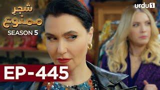 Shajar-e-Mamnu | Episode 445 | Turkish Drama  | Forbidden Fruit | Urdu Dubbing | 24 August 2022