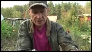 Болезни смородины. Сергей Богатский:3 минуты о загородной жизни от 28 09 16