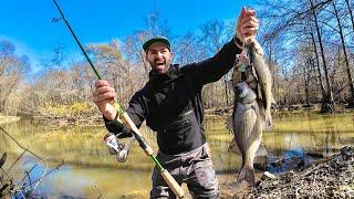 Catch and Cook POOR MAN’S LOBSTER from a HIDDEN CREEK! — Fishing for SPAWNING White Bass!