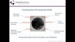 Antibody-Nanoparticle Conjugation Webinar: Gold nanoparticles - optimization of conjugates