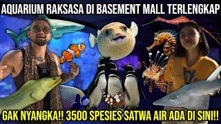 AQUARIUM RAKSASA DI BASEMENT MALL TERLENGKAP! GAK NYANGKA!! 3500 SPESIES SATWA AIR ADA DISINI!! JAQS