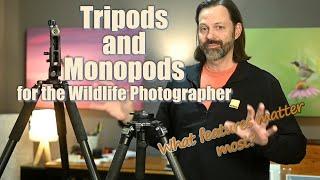 Monopods and Tripods for Wildlife, What I Look for...