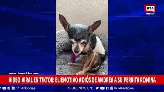 VIDEO VIRAL EN TIKTOK: EL EMOTIVO ADIÓS DE ANDREA A SU PERRITA ROMINA