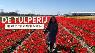 DE TULPERIJ | Spring in the Netherlands 2021| The Viajeros Family