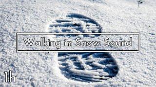 Walking in Snow Sound - 1 hour