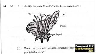 CBSE Class 10 Science Question Paper 2025 | CBSE Science Annual Exam Paper 2025 Class 10