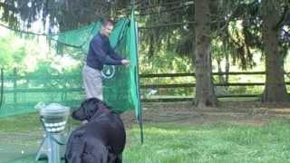 Great Backyard Golf Practice Net: The RotaNet