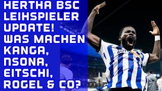 Hertha BSC Leihspieler Update. Wie läufts bei Eitschi, Nsona, Kanga, Rogel & CO?