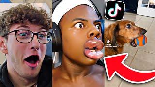 Reacting To Extremely Random Tiktoks!!