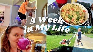 Shopping, Cooking, Teaching - Family Vlog