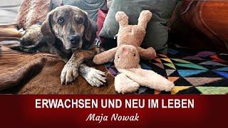 ERWACHSEN UND NEU IM LEBEN - Eine neue Reihe über das Leben - Teil 8 - von Maja Nowak