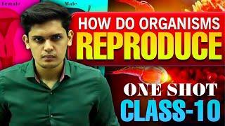 How Do Organisms Reproduce Complete Chapter|Class 10th Science| NCERT covered| Prashant Kirad