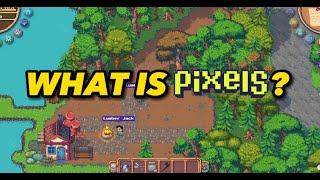 Pixels NFT Game - Getting Started Tutorial (Tagalog)